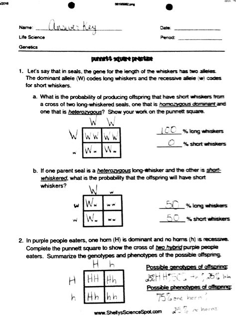 punnett square practice worksheet 2 answer key